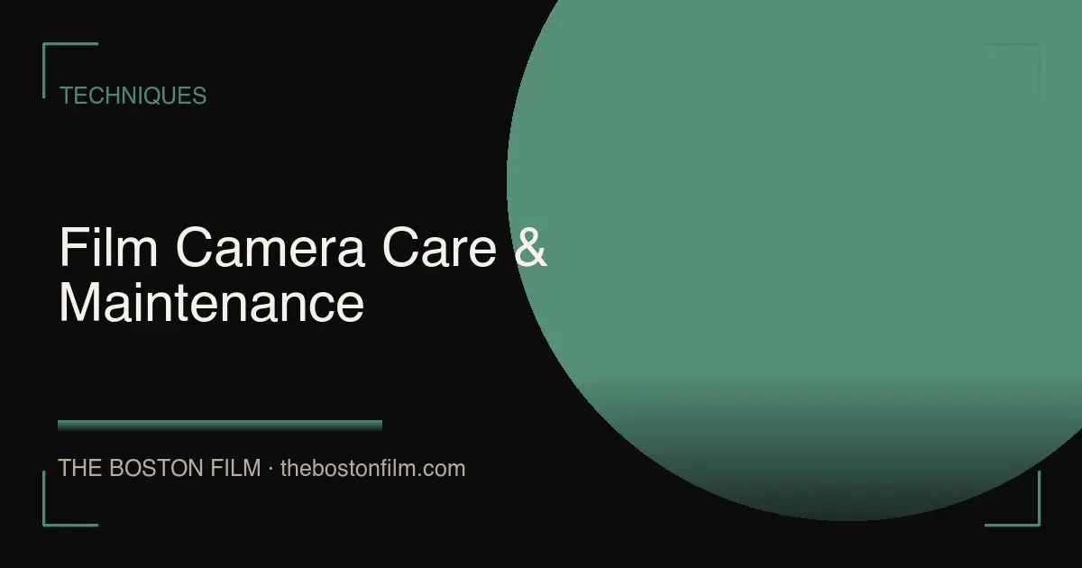 Film Camera Care & Maintenance