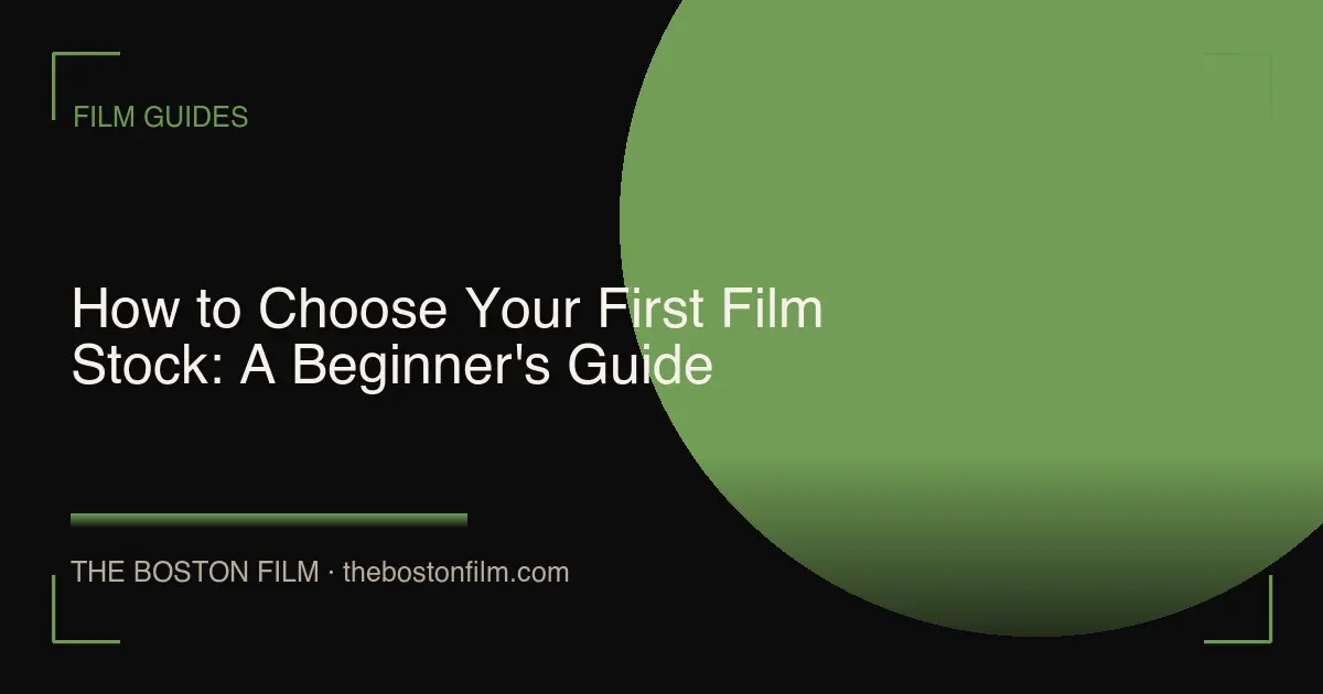 How to Choose Your First Film Stock: A Beginner's Guide